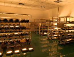 παλιά δοκιμή